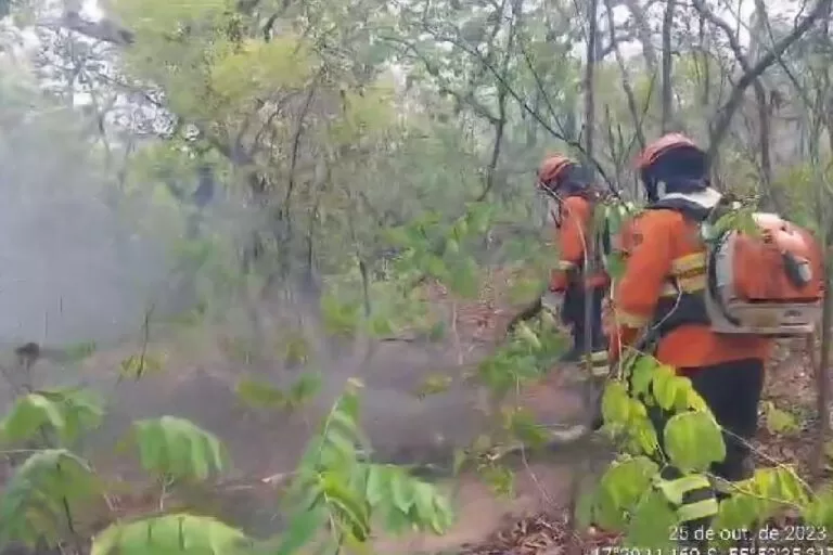 Bombeiros combatem incêndios há quatro dias no Pantanal