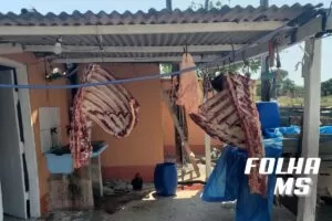 Leia mais sobre o artigo Carne vendida sem inspeção sanitária é apreendida em operação policial em Corumbá