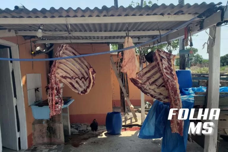 Carne vendida sem inspeção sanitária é apreendida em operação policial em Corumbá