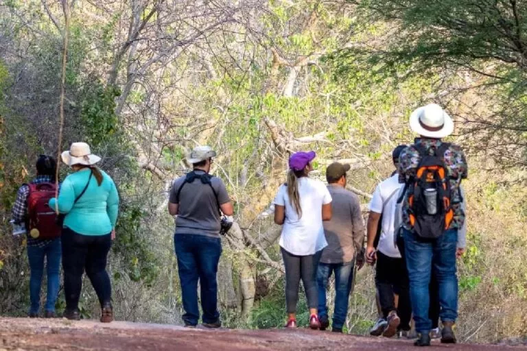 Ladário participa do Global Big Day e cataloga 107 espécies de aves na APA Baía Negra