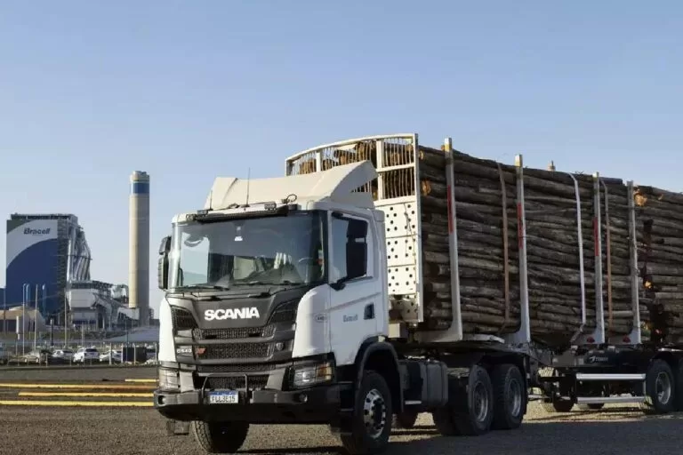 50 vagas abertas para motoristas de carga em empresa de celulose em MS