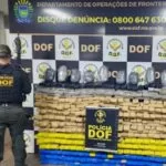 Quase meia tonelada de drogas é apreendida pelo DOF em Dourados