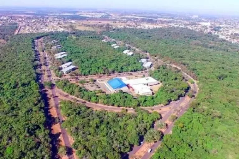Parque dos Poderes: governo terá que mostrar áreas a serem desmatadas