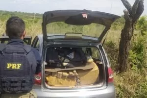 Leia mais sobre o artigo PRF apreende mais de 400 quilos de maconha em abordagem a motorista em Campo Grande