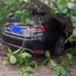 Árvore cai sobre carro estacionado no centro de Corumbá