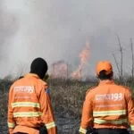 Bombeiros de MS fazem força-tarefa para controlar incêndios no Pantanal