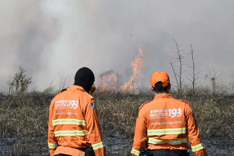 Queimadas no Cerrado e no Pantanal