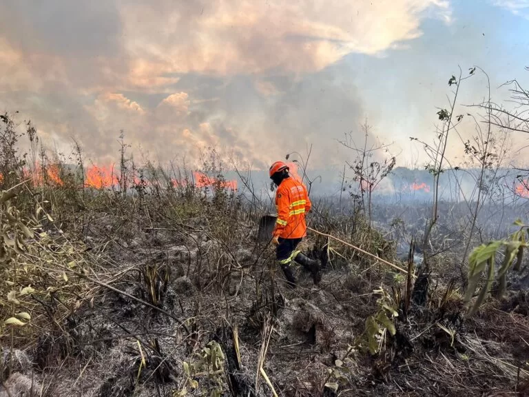 Bombeiros atuam no controle e extinção de incêndio florestal no Pantanal do Paiaguás
