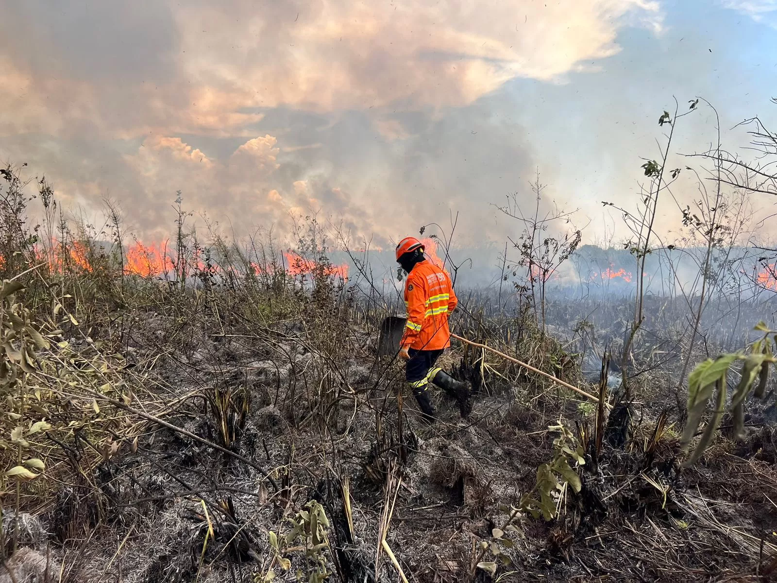 Você está visualizando atualmente Bombeiros atuam no controle e extinção de incêndio florestal no Pantanal do Paiaguás