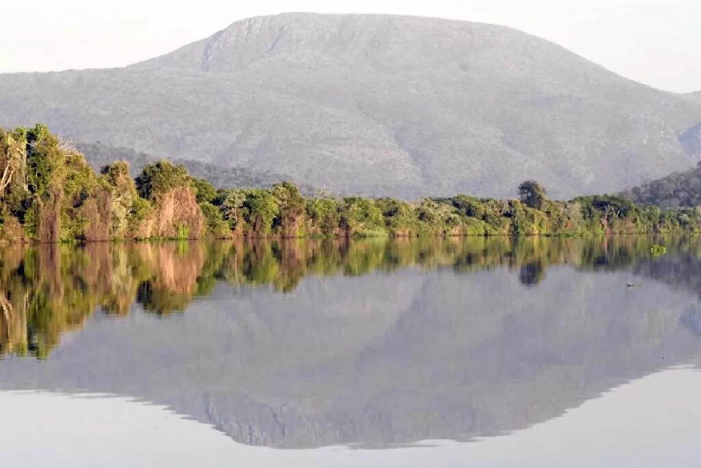Estatuto do Pantanal é aprovado no Senado e segue para sanção presidencial 6 turismo estatuto do pantanal