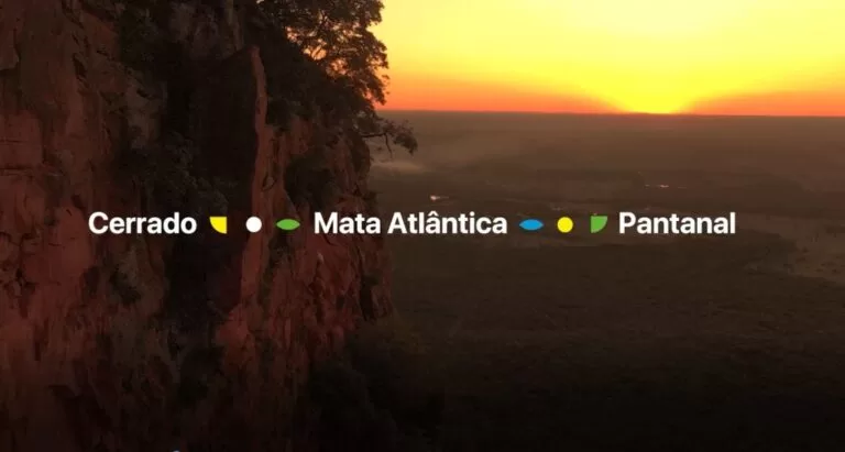 Governo lança vídeo em homenagem ao MS, nova fronteira de crescimento do Brasil