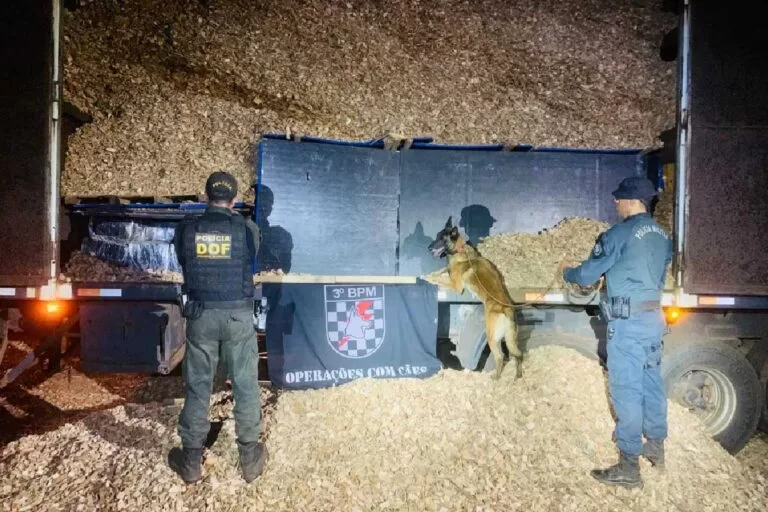 DOF apreende mais de cinco toneladas de drogas em uma carga de cavaco de madeira