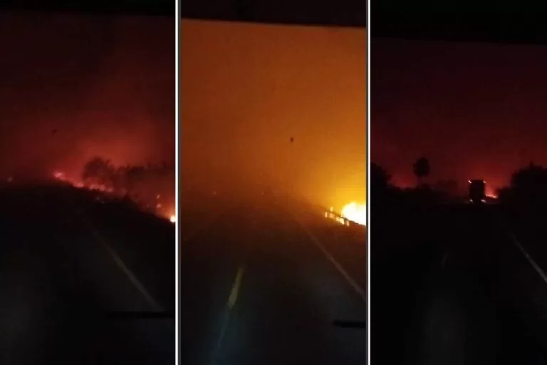 Incêndio avança sobre o Pantanal e coloca em risco motoristas na BR-262