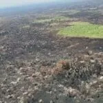 El Niño e chuva abaixo da média expõe risco extremo de incêndios no Pantanal