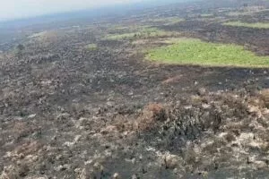 Leia mais sobre o artigo Chuva alivia incêndios na Serra do Amolar, mas Paiaguás ainda sofre com fogo