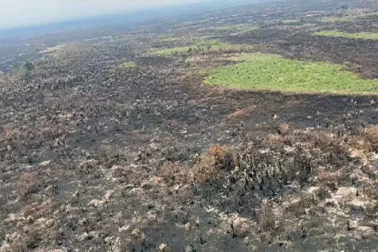 Chuva alivia incêndios na região da Serra do Amolar