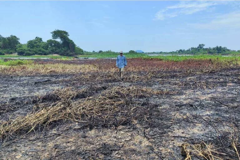 Incêndios voltam ameaçar Pantanal e equipes buscam animais em perigo na região da Serra do Amolar