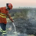 Em alerta, bombeiros de MS atuam em quatro incêndios florestais no Pantanal