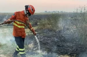 Leia mais sobre o artigo Em alerta, bombeiros de MS atuam em quatro incêndios florestais no Pantanal