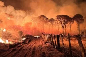 Leia mais sobre o artigo Governo de MS intensifica envio de equipes para combate aos incêndios no Pantanal
