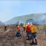 Brigada do IHP, atua com Prevfogo para extinguir fogo na Serra do Amolar