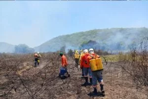 Leia mais sobre o artigo Brigada do IHP, atua com Prevfogo para extinguir fogo na Serra do Amolar
