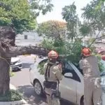 Árvore cai e atinge carro estacionado no centro de Corumbá