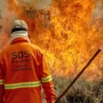 Sistema “Aracuã” promove monitoramento de focos de calor no Pantanal