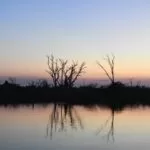 Frente fria derruba temperaturas no sul de MS com termômetros marcando 10,7°C