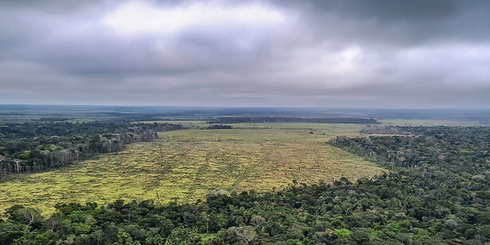Leia mais sobre o artigo Desmatamento na Amazônia registra maior queda do ano em novembro