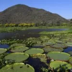 Governo de MS e Consulado Geral dos EUA se unem para proteção do Pantanal