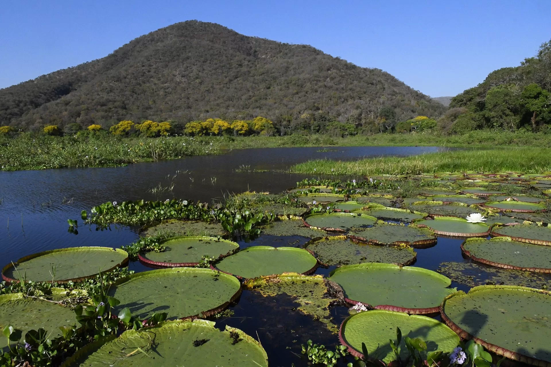 Você está visualizando atualmente Pesquisadores reúnem vestígios de presença humana no Pantanal desde 8 mil anos