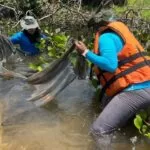 A bordo de navio da Marinha, pesquisadores do Bioparque desbravam o Pantanal em expedição