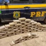 PRF apreende drogas escondidas em caminhão na BR 262 em Miranda