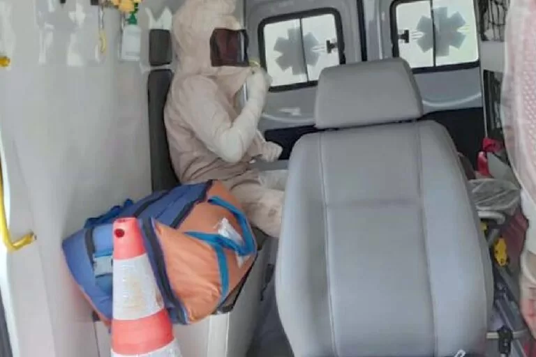 Idoso sobrevive a ataque de abelhas em Ribas do Rio Pardo