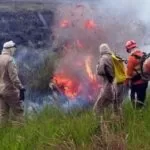 Bombeiros controlam incêndios em duas regiões do Pantanal