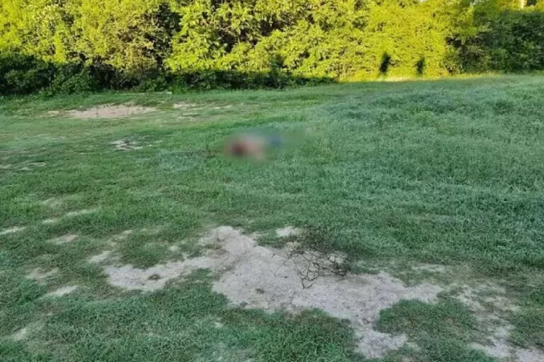 Mulher é encontrada sem vida com ferimento no pescoço e mãos amarradas em MS