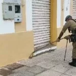Sucuri de 2 metros é capturada pelos bombeiros no Porto Geral de Corumbá | vídeo