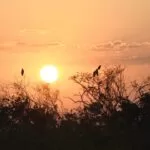 MS tem possibilidade de chuva e temperaturas que chegam a 35ºC em algumas regiões