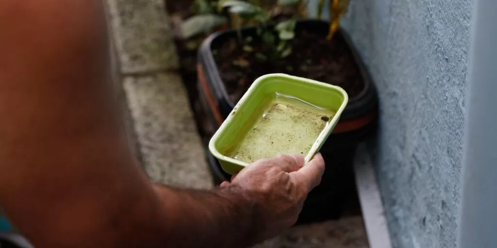 Dengue DF vai aplicar multa em caso de descarte irregular Mortes por Dengue em MS