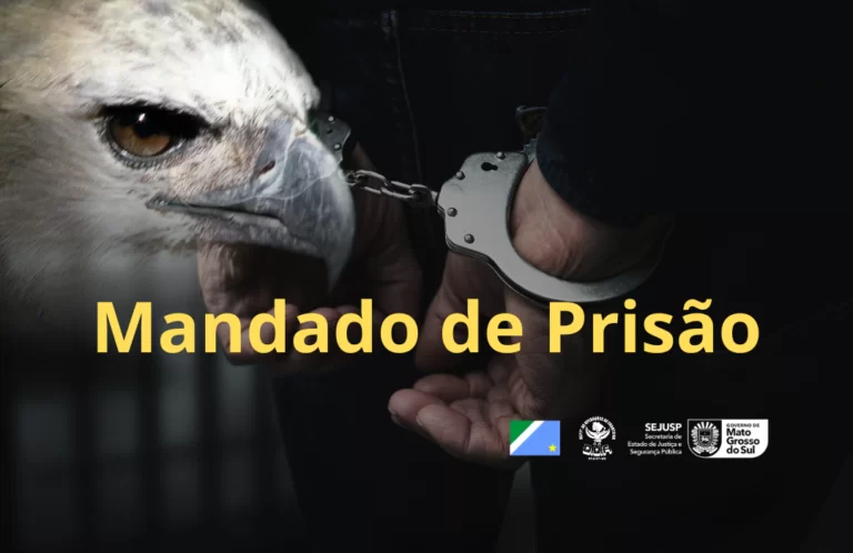 DOF prende homem foragido há 12 anos por estupro de vulnerável