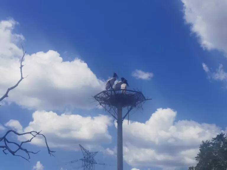 chuva e forte calor nesta quinta