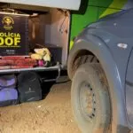 DOF prende passageira de ônibus com maconha e haxixe marroquino em MS