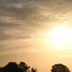 Domingo com previsão de sol e chuvas isoladas em Mato Grosso do Sul