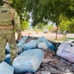 Carregamento com 625 Kg de maconha é apreendido pela PRF em meio a carga de ferro gusa