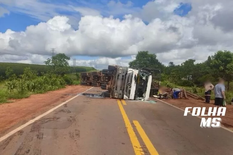 Carreta carregada com toras de eucalipto tomba e interdita trânsito na BR-262