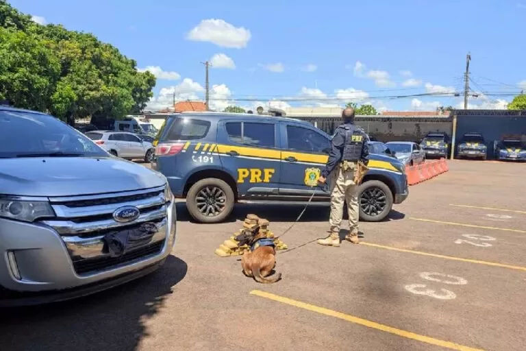 Motorista boliviano e passageira argentina são presos com 41 Kg de cocaína na BR-262