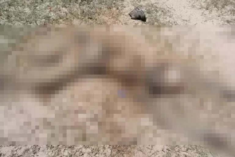 Peão de comitiva é encontrado morto ao lado de mula no Pantanal