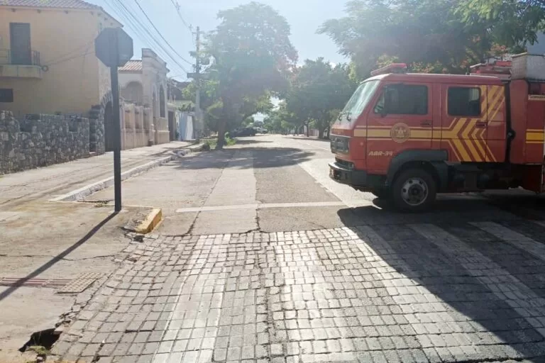 Abelhas: Enxame faz bombeiros interditarem trecho de rua Central em Corumbá