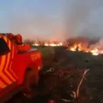 Incêndios na região do Porto da Manga mobilizam equipes do Corpo de Bombeiros